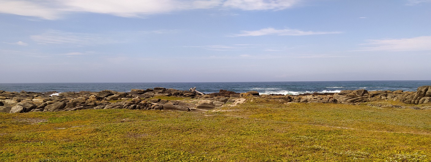 Beach at Seaview